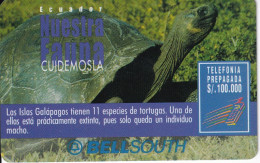 TARJETA DE ECUADOR DE UNA TORTUGA DE LAS GALAPAGOS (TURTLE) VALIDEZ 30 DIAS - Ecuador