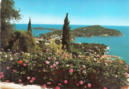 *CPM - FRANCE - PACA - Vue Pittoresque De La Côte D'Azur - Provence-Alpes-Côte D'Azur