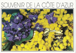 *CPM - FRANCE - PACA - Souvenir De La Côte D'Azur - Mimosa Et Violettes - Provence-Alpes-Côte D'Azur