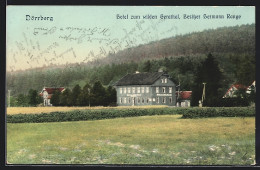 AK Dörrberg, Hotel Zum Wilden Gerathal Von Hermann Range  - Gera