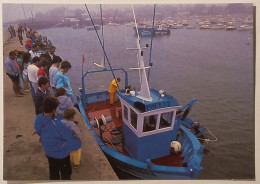 PECHE - SARZEAU (56 Morbihan) - Debarquement Bateau Peche Au Port De Saint Jacques / Pecheur - Fischerei