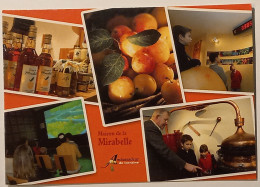 ROZELIEURES (54 Meurthe Et Moselle) - Maison De La Mirabelle - Fruit / Bouteille - Ambassadeur Lorraine - Kunsthandwerk