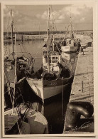 BATEAU DE PECHE - ILE DE RE / Port De Peche - Flotte En Ré - Carte Postale Reproduisant Photo Claude Fournier - Fischerei