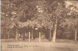 BOURG - LEOPOLD - 6 CARTES - Leopoldsburg (Beverloo Camp)