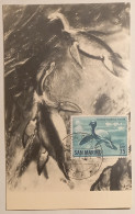 THAUMATOSAURUS VICTOR / DINOSAURE REPTILE MARIN - ANIMAL PREHISTORIQUE - Carte Philatélique San Marin - Pescados Y Crustáceos