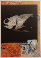 POISSON - Devonian Armoured Fish - DINOSAURE / ANIMAL PREHISTORIQUE - Carte Philatélique AUSTRALIE - Poissons Et Crustacés