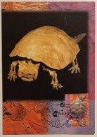 TORTUE - Horned Turtle - Meiolania Platyceps - DINOSAURE / ANIMAL PREHISTORIQUE - Carte Philatélique AUSTRALIE - Schildpadden