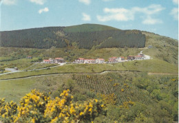 Navarra - Col D'Ibardin  -  Vue Panoramique - Navarra (Pamplona)