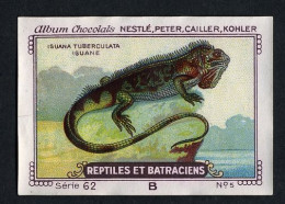 Nestlé - 62B - Reptiles Et Batraciens, Reptiles And Amphibians - 5 - Iguana, Iguane - Nestlé