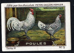 Nestlé (Edité) - III - Poules, Chickens - 5 - Hambourgs Pailietes Argentes - Nestlé