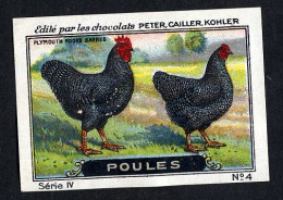 Nestlé (Edité) - IV - Poules, Chickens - 4 - Plymouth Rocks Barres - Nestlé