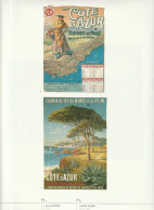 Pages Du Livre "AFFICHES D'AZUR" Alpes Maritimes  ( Recto Verso, Pages 23/24 ) Côte D'Azur - Affiches