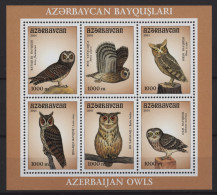 Azerbaïjan - 2001 Owls Block (1) MNH__(TH-24503) - Azerbaïdjan