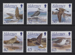 Alderney - 2005 Waders Block MNH__(TH-26711) - Alderney