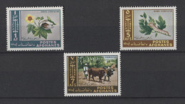 Afghanistan - 1966 Day Of Agriculture MNH__(TH-24742) - Afghanistan