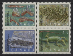 Canada - 1991 Petrifications Block Of Four MNH__(TH-25178) - Hojas Bloque