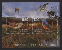 Bulgaria - 2009 Birds In The Balkan Mountains Block MNH__(TH-27003) - Blocs-feuillets