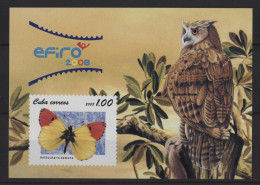 Cuba - 2008 Owls And Butterflies Block MNH__(TH-26757) - Hojas Y Bloques