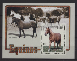 Cuba - 2005 Horses Block MNH__(TH-27356) - Blocs-feuillets