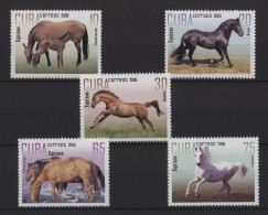 Cuba - 2005 Horses MNH__(TH-27350) - Ongebruikt