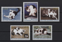 Cuba - 2005 Domestic Cats MNH__(TH-27493) - Unused Stamps