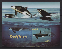 Cuba - 2004 Delphine Block MNH__(TH-27331) - Blokken & Velletjes