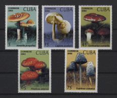 Cuba - 2002 Mushrooms MNH__(TH-25959) - Nuovi