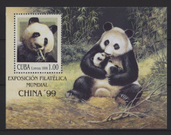 Cuba - 1999 Giant Panda Block MNH__(TH-27536) - Blocs-feuillets