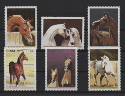 Cuba - 1995 Arabian Thoroughbred Horses MNH__(TH-27514) - Ongebruikt