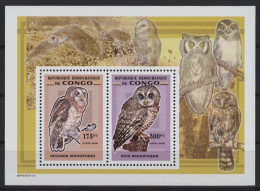 Congo (Kinshasa) - 2007 Owls Block (5) MNH__(TH-27088) - Ungebraucht