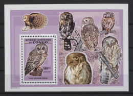 Congo (Kinshasa) - 2007 Owls Block (3) MNH__(TH-27086) - Nuevos