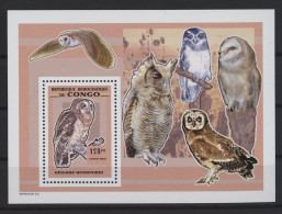 Congo (Kinshasa) - 2007 Owls Block (1) MNH__(TH-27084) - Ungebraucht