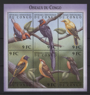 Congo (Kinshasa) - 2000 Native Birds Kleinbogen (1) MNH__(TH-27251) - Ongebruikt