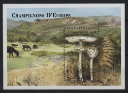 Comoros - 1999 European Mushrooms Block (2) MNH__(TH-24399) - Comores (1975-...)