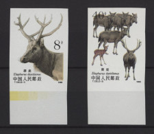 China - 1988 Deer Of David IMPERFORATE MNH__(TH-26656) - Unused Stamps