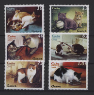 Cuba - 2009 Cats MNH__(TH-27501) - Unused Stamps