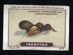 Nestlé (Edité) - VIII - Insectes, Insects - 2 - Nestlé