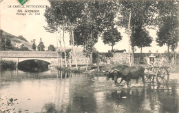 CHAR à Boeufs - ARPAJON Sur Cère - Passage Du Gué N°924 Cantal Pittoresque - VENTE DIRECTE X - Arpajon Sur Cere