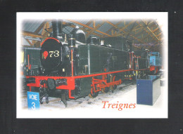 TREIGNES - LOCOMOTIVE A VAPEUR MF 73  (7513) - Viroinval