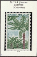 MADAGASCAR (Malagasy) - Fruits, Banane, Litchi - Y&T N° 465-466 - 1969 - MNH - Madagaskar (1960-...)