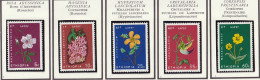 ETHIOPIE - Fleurs, Rose, Coussotier, Millepertuis, Crotalaire, Coréopsis - Y&T N° 440-444 - 1965 - MNH - Ethiopie
