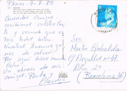 54689. Postal PLENAS (Zaragoza) 1980. Fechador MOYUELA,  RARO. Vista Del Ebro En Paso Por Zaragoza - Cartas & Documentos