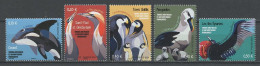 TAAF 2021 N° 987/991 ** Neufs MNH Superbes Faune Antarctique Oiseaux Birds En Graph Orque Fou Manchot Frégate Albatros - Ungebraucht