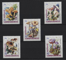 Georgia - 2000 Mushrooms MNH__(TH-24375) - Georgië