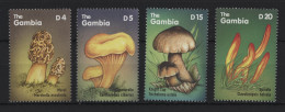 Gambia - 2000 Mushrooms MNH__(TH-24376) - Gambia (1965-...)