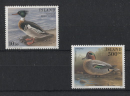 Iceland - 1997 Birds MNH__(TH-23105) - Neufs