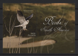 Guyana - 2012 Birds Of South America Block (1) MNH__(TH-27065) - Guyane (1966-...)