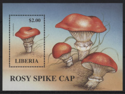 Liberia - 1998 Mushrooms Block (1) MNH__(TH-24354) - Liberia