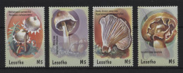 Lesotho - 2001 Mushrooms MNH__(TH-24360) - Lesotho (1966-...)