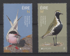 Ireland - 2019 Europe Native Birds MNH__(TH-26348) - Ungebraucht